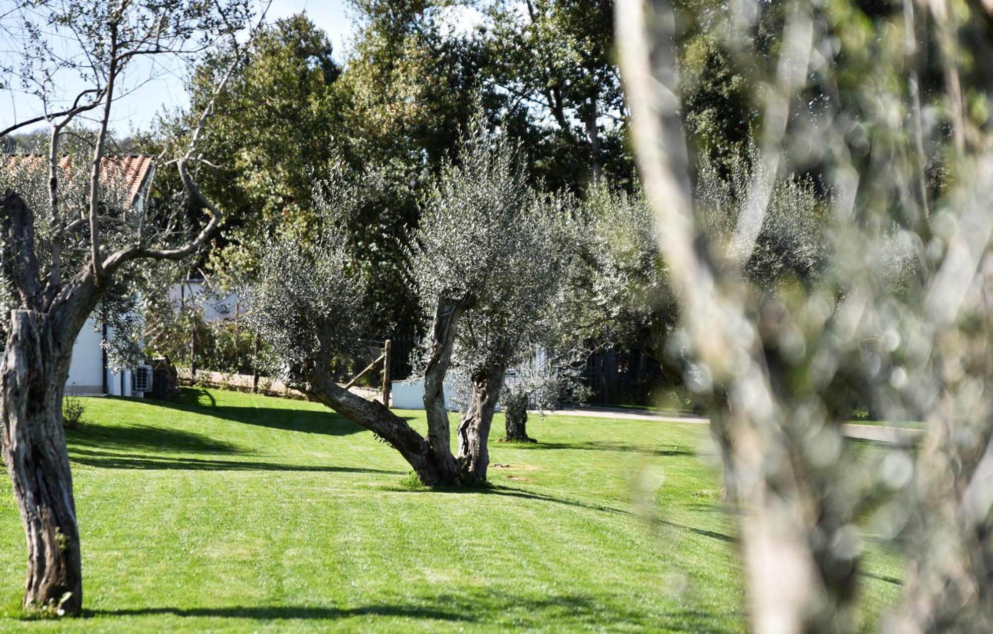 Vigna Caio Relais & Spa (Adults Only) ブラッチャーノ エクステリア 写真